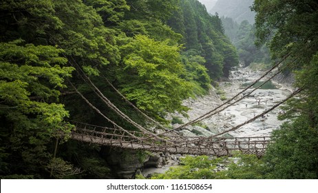 Japanese forests Images, Stock Photos & Vectors | Shutterstock