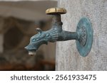 A vintage bronze faucet with a spout shaped like a dragon