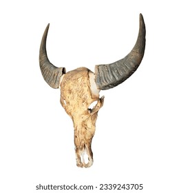 Vintage buffalo skull on a white background with buffalo horns in perfect shape. - Shutterstock ID 2339243705