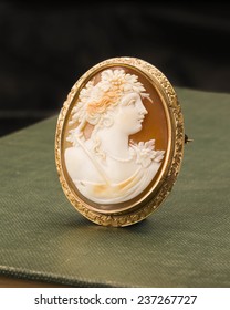 Vintage Cameo Pin 