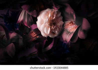 vintage card with peonies, alstroemeries on dark background.  - Powered by Shutterstock