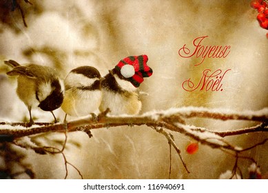 Vintage Christmas card with adorable chickadees in the snow with French Language text-Joyeux Noel.