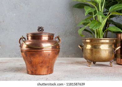 Vintage copper can and green plants in brass and copper vintage flower pots on a concrete background. Copy space for text.