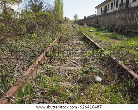 vintage disused railway railroad tracks covered by vegetation
