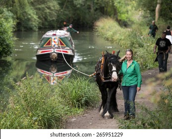 Vintage English Narrow Boat Birdswood,being Pulled By A Horse, On The Cromford Canal,near Matlock,Derbyshire, UK. Taken 24/08/2014