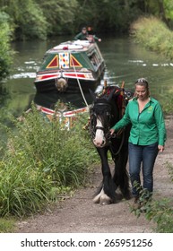 Vintage English Narrow Boat Birdswood,being Pulled By A Horse, On The Cromford Canal,near Matlock,Derbyshire, UK. Taken 24/08/2014