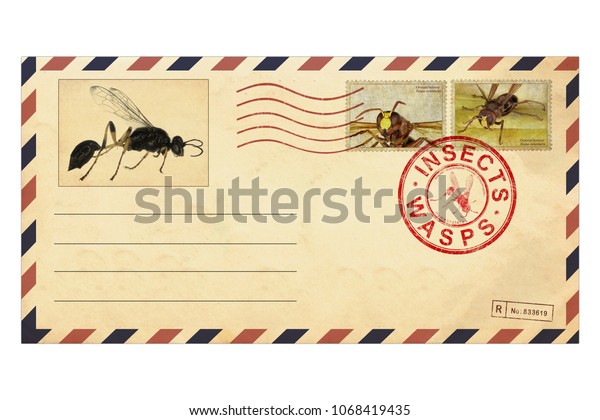 Vintage Envelope Postage Stamps On Insects Stock Photo Edit Now