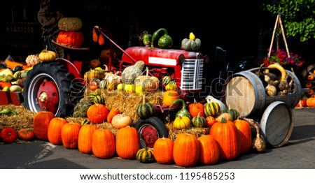           Vintage Farm Vehicles And Pumpkins in October                   