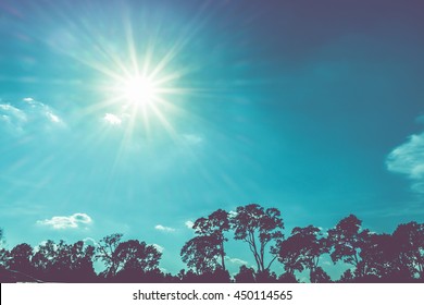 Vintage Filter,Sun Burst At Blue Sky With Silhouettes Group Of Tree,Tropical Cilmate.