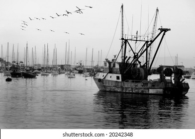 Vintage Fishing Boat In Harbor