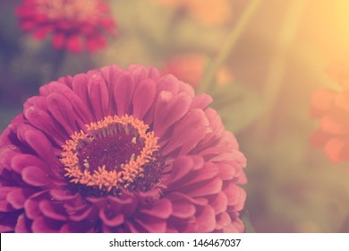 Vintage flower