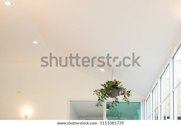 Vintage Flower Pot Hanging Down Ceiling Royalty Free Stock