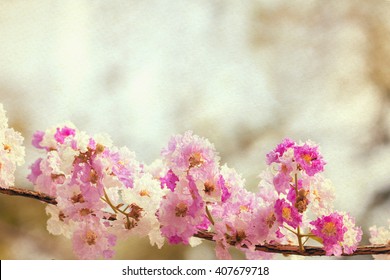 Vintage flowers