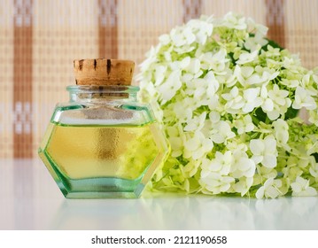 Vintage Glass Bottle With Cosmetic Oil (massage Oil, Tincture, Infusion, Extract) And White Hortensia Flowers. Aromatherapy, Homemade Spa And Herbal Medicine Concept. Copy Space.