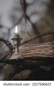 Vintage gothic theme. Burning candle and old book among the black branches in the forest, selective focus. Foreboding, November, autumn, witchcraft, mystery, victorian style, dead woods concept - Shutterstock ID 2217560623