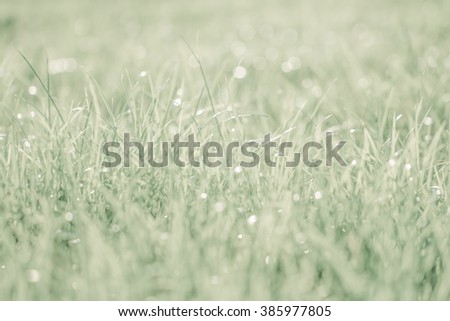 Similar – Image, Stock Photo frost Winter Nature Plant