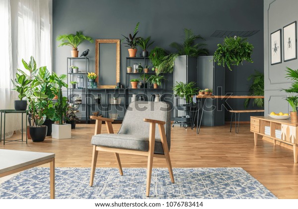 Vintage, gray armchair in the center of a tropical\
living room interior with lots of plants on the wooden floor and\
black rack