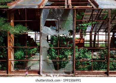 Vintage greenhouse with broken windows. An old greenhouse for the study of rare plants. Broken windows theory. Growing sustainable products in your home greenhouse.