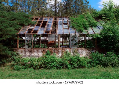 Vintage greenhouse with broken windows. An old greenhouse for the study of rare plants. Broken windows theory. Growing sustainable products in home greenhouse.