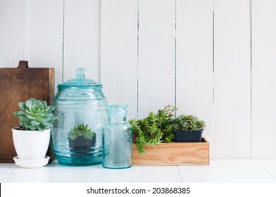 Vintage home decor: houseplants, green succulents, old wooden boxes and vintage blue glass bottles on white wooden board, cozy home interior. - Powered by Shutterstock