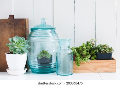 Vintage Home Decor: Houseplants, Green Succulents, Old Wooden Boxes And Vintage Blue Glass Bottles On White Wooden Board, Cozy Home Interior.