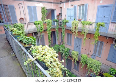 Vintage house with pink common balconies typical of old Milan - ivy plants