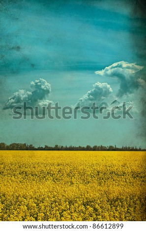 Similar – Image, Stock Photo 8+1 1/2 Colour photo