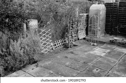 Vintage Inner City Backyard Garden, Taken In Black And White.