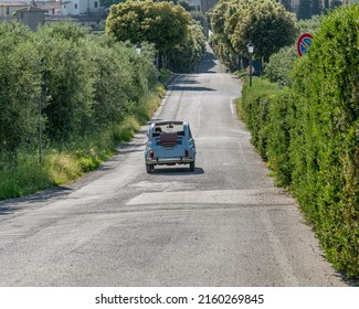 A vintage Italian Fiat 500 convertible car drives along a typical Tuscan tree-lined avenue, Artimino, Prato, Italy	