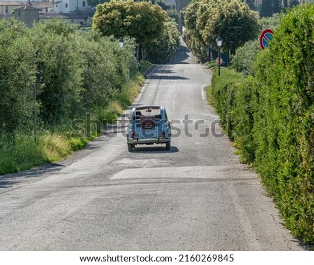 A vintage Italian Fiat 500 convertible car drives along a typical Tuscan tree-lined avenue, Artimino, Prato, Italy	