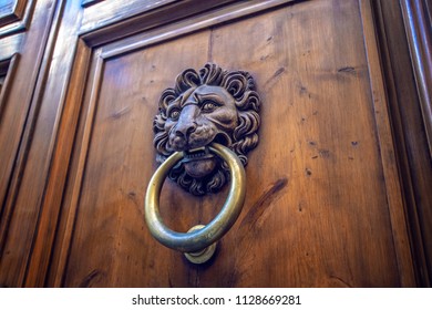 Vintage Italian Wooden Door, Door Knocker, Lion's Head, Funny Look