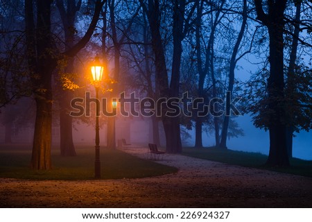Vintage lamp in the city park during dawn