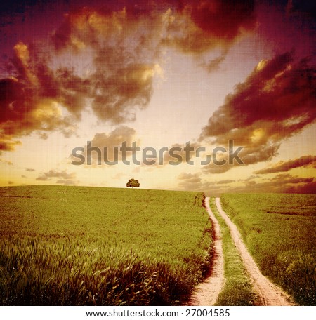 Similar – Image, Stock Photo summer sunny yellow Field