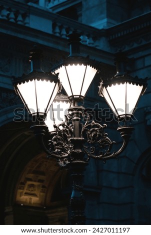 Vintage lanterns. Illumination of the night street, vintage lanterns on the background of the Opera and Ballet building in Budapest