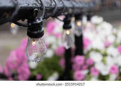 vintage light bulbs with fall rain drops. autumn mood. - Powered by Shutterstock