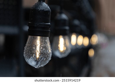 vintage light bulbs with fall rain drops. autumn mood. - Powered by Shutterstock