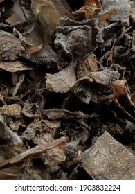 Vintage Look Of Dried Dragonfruit Skins, With Autumn Vibes And Detailed Texture. This Picture Is Quite Great To Be Used As Wallpaper