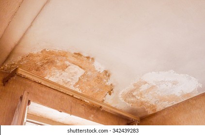 Damp Ceiling Images Stock Photos Vectors Shutterstock