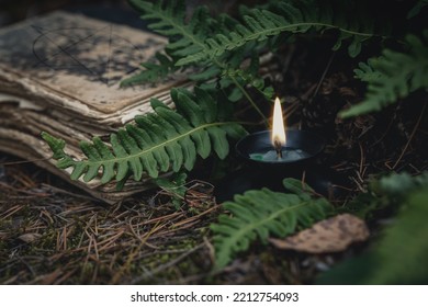 Vintage Magic Book And A Burning Candle In The Forest On The Ground Under The Fern Leaves, Close Up, Low Key, Selective Focus. Fairy Tale, Novel Cover, Witchcraft, Mystery, Victorian Gothic Concept