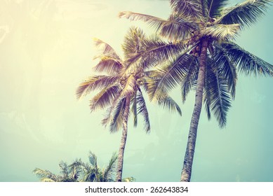 Vintage nature background of coconut palm tree on tropical beach blue sky with sunlight of morning in summer,photo paper texture with  instagram filter 