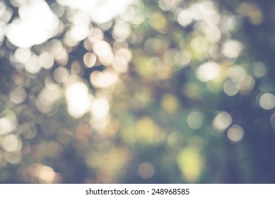 Vintage Nature Background Of  Sunlight Bokeh In Morning, Instagram Filter