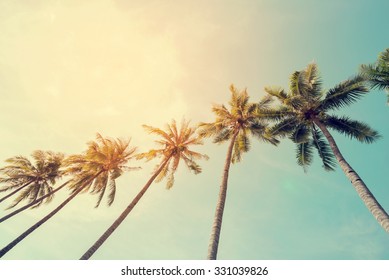 Vintage Nature Photo Of Coconut Palm Tree In Seaside Tropical Coast