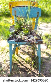 Vintage Old Blue Tiffany Chair Decorated With Stones And Plants