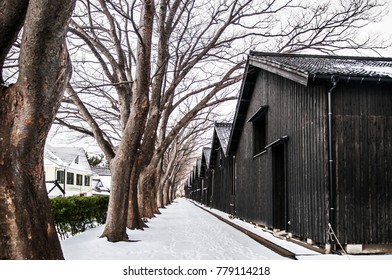 Vintage old Japanese black warehouse in winter snow and tree line, Sakata Sunkyo Soko, Yamagata   orefecture, Japan