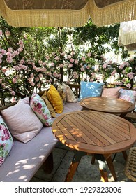 Vintage Outdoor Patio Decertations For A Tea Party At A Bridal Shower. Sun Shining Through. Fancy Floral Pillows. Bouquet Of Pink Blooming Rose Bush In The Background.