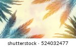 Vintage palm background texture frame