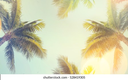 Vintage Palm Background Texture Frame