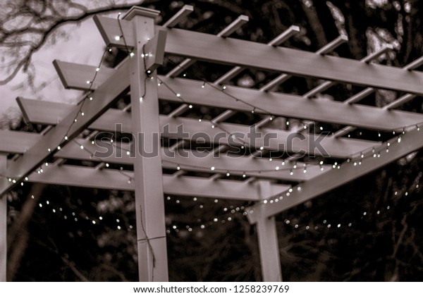Vintage Pergola Christmas Lights Draped Over Stock Photo Edit Now