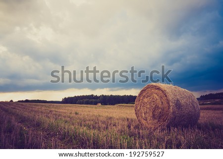 Similar – yellow straw bales on field