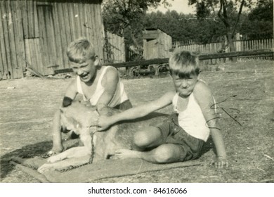 Vintage Photo Of Boys Playing With A Dog (fifties)